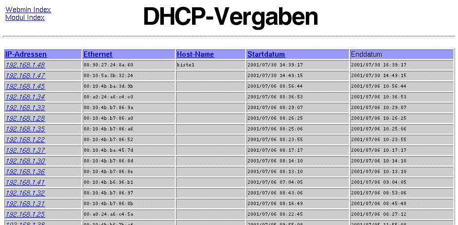 Kategorie Server - DHCP - DHCP-Vergaben