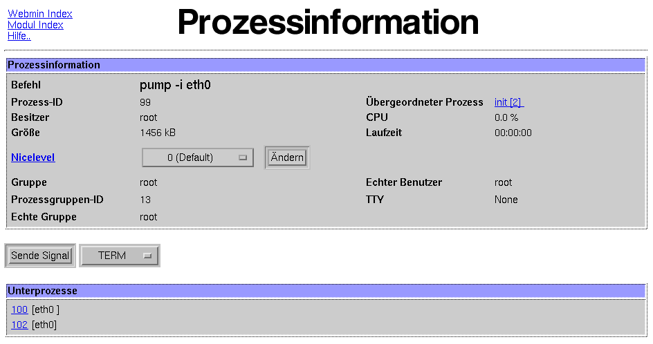 Kategorie Webmin - System - Prozessinformationen